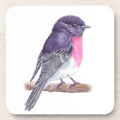 ロビン コースター (正面)