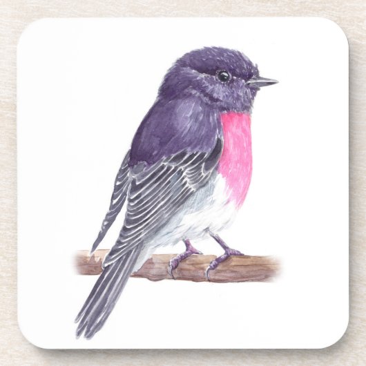 ロビン コースター (正面)