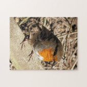 ロビン ジグソーパズル (横)