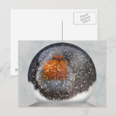 ロビン スノーグローブ ポストカード (正面/裏面)