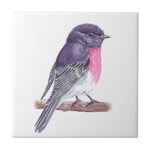 ロビン タイル (正面)