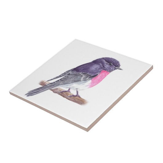 ロビン タイル (側面)