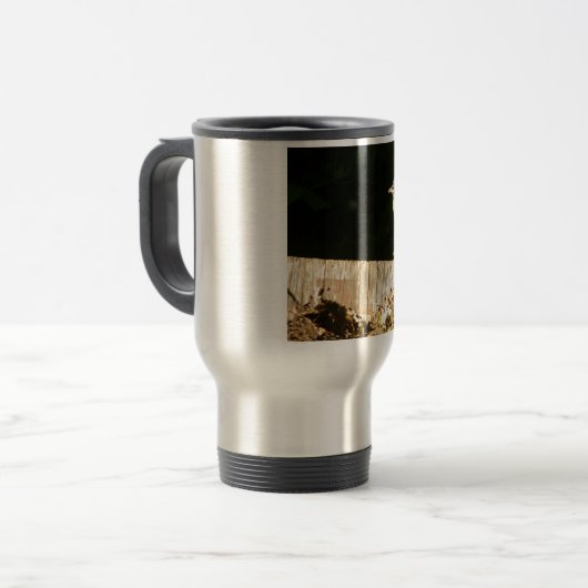 ロビン トラベルマグ (正面左)