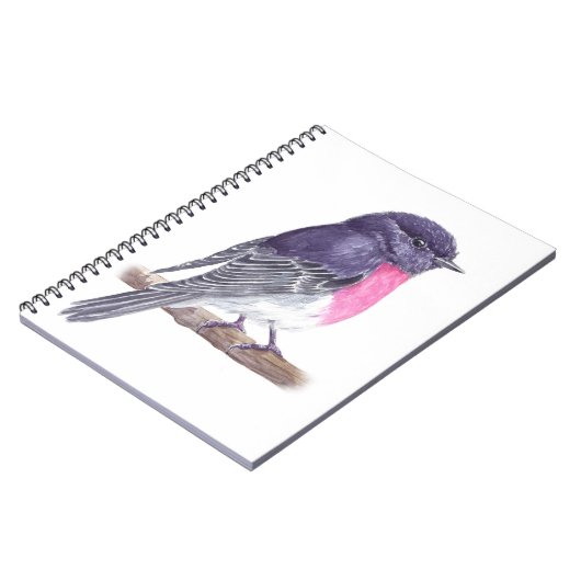 ロビン ノートブック (左側)