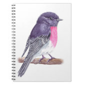 ロビン ノートブック (正面)