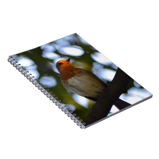 ロビン ノートブック (右側)