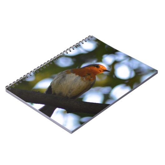 ロビン ノートブック (左側)