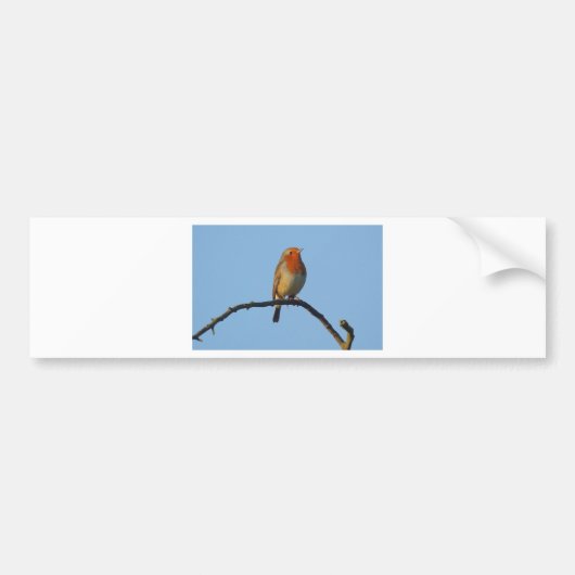 ロビン バンパーステッカー (正面)