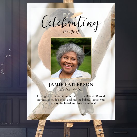 ロビン・バード・ウォッチャー 人生の祝祭 写真 ポスター