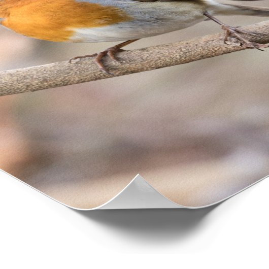 ロビン・バード ポスター (角)