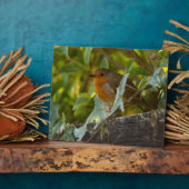 ロビン フォトプラーク (側面)