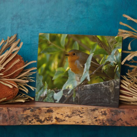 ロビン フォトプラーク (側面)