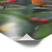 ロビン フォトプリント            (角)