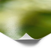 ロビン フォトプリント            (角)