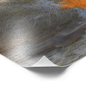 ロビン フォトプリント            (角)