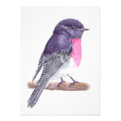 ロビン フォトプリント            (正面)