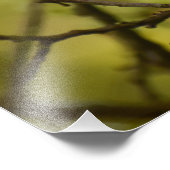 ロビン フォトプリント            (角)