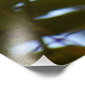 ロビン フォトプリント            (角)