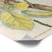 ロビン ポスター (角)