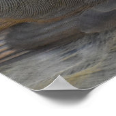 ロビン ポスター (角)