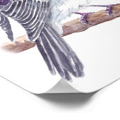 ロビン ポスター (角)