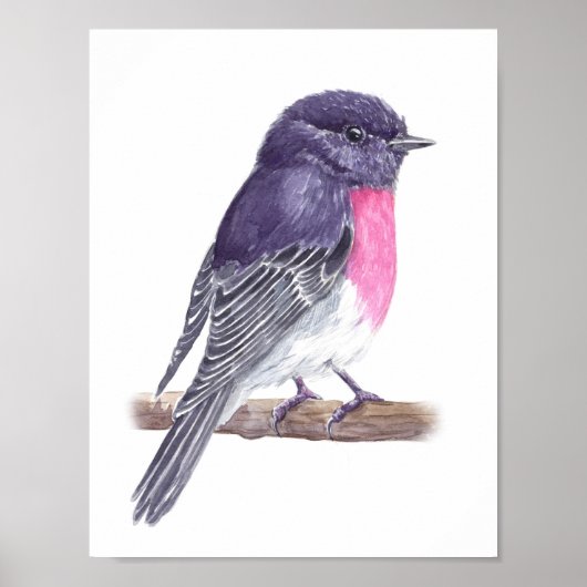 ロビン ポスター (正面)