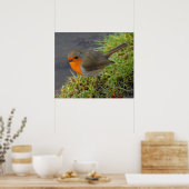 ロビン ポスター (キッチン)