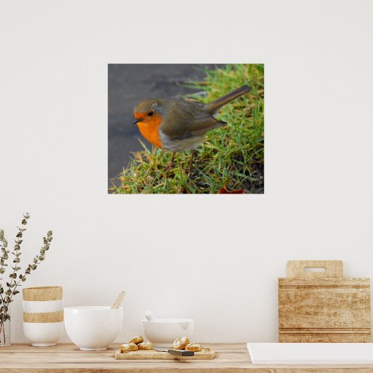 ロビン ポスター (キッチン)