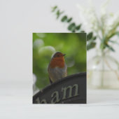 ロビン ポストカード (スタンド正面)