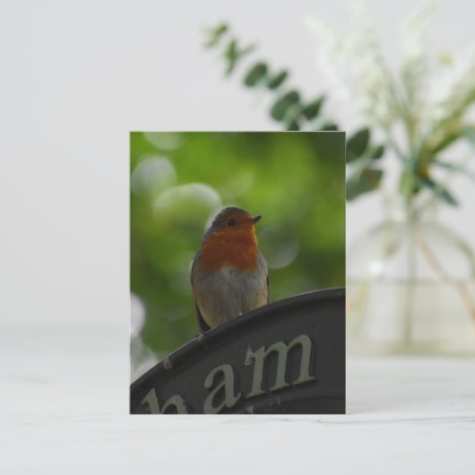 ロビン ポストカード (スタンド正面)