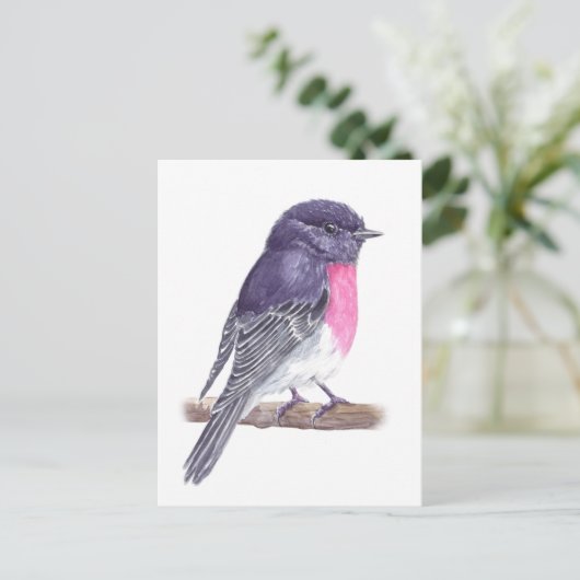 ロビン ポストカード (スタンド正面)