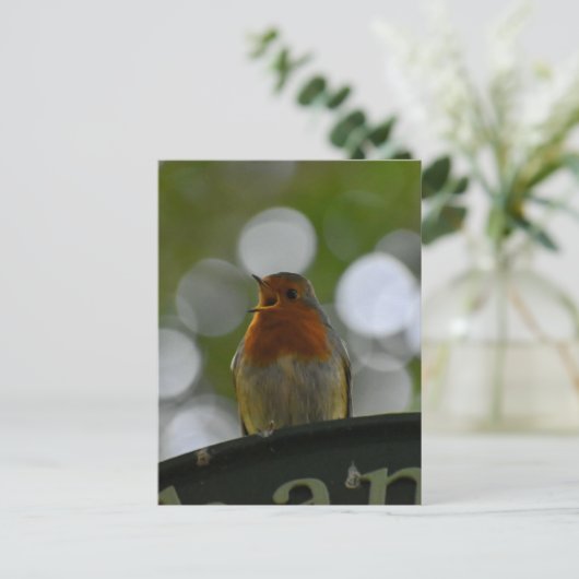 ロビン ポストカード (スタンド正面)