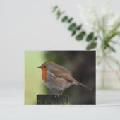 ロビン ポストカード (スタンド正面)