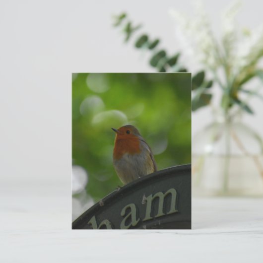 ロビン ポストカード (スタンド正面)