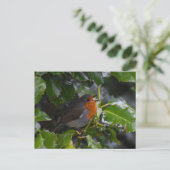 ロビン ポストカード (スタンド正面)