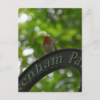 ロビン ポストカード