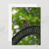 ロビン ポストカード (正面/裏面)