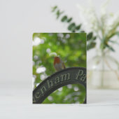 ロビン ポストカード (スタンド正面)