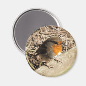 ロビン マグネット (正面/裏面)