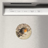 ロビン マグネット (インサイチュ (食洗機))