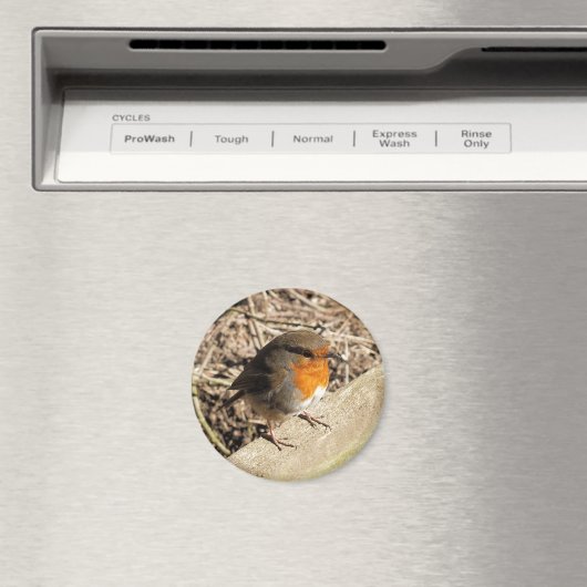 ロビン マグネット (インサイチュ (食洗機))