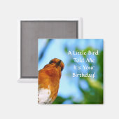 ロビン マグネット (正面/裏面)