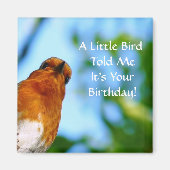 ロビン マグネット (正面)