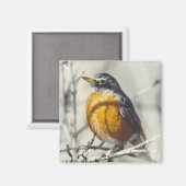 ロビン マグネット (正面/裏面)