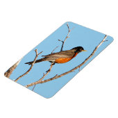 ロビン マグネット (左側)