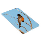 ロビン マグネット (右側)