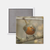 ロビン マグネット (正面/裏面)