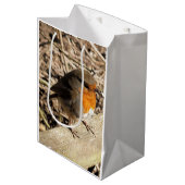 ロビン ミディアムペーパーバッグ (正面アングル)