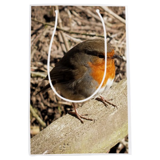 ロビン ミディアムペーパーバッグ (正面)