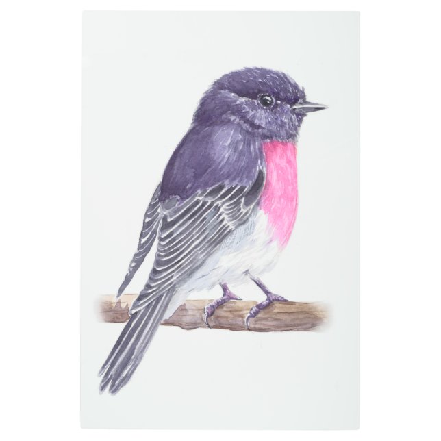 ロビン メタルプリント (正面)